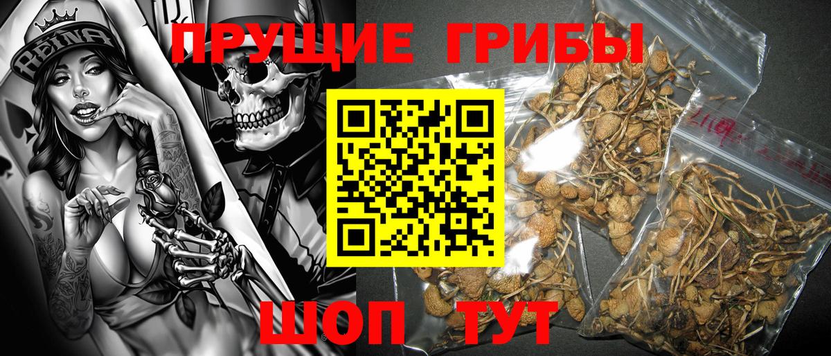 Галлюциногенные грибы Cubensis  Галлюциногенные грибы Magic Shrooms  Вышний Волочёк  Вход с VPN 