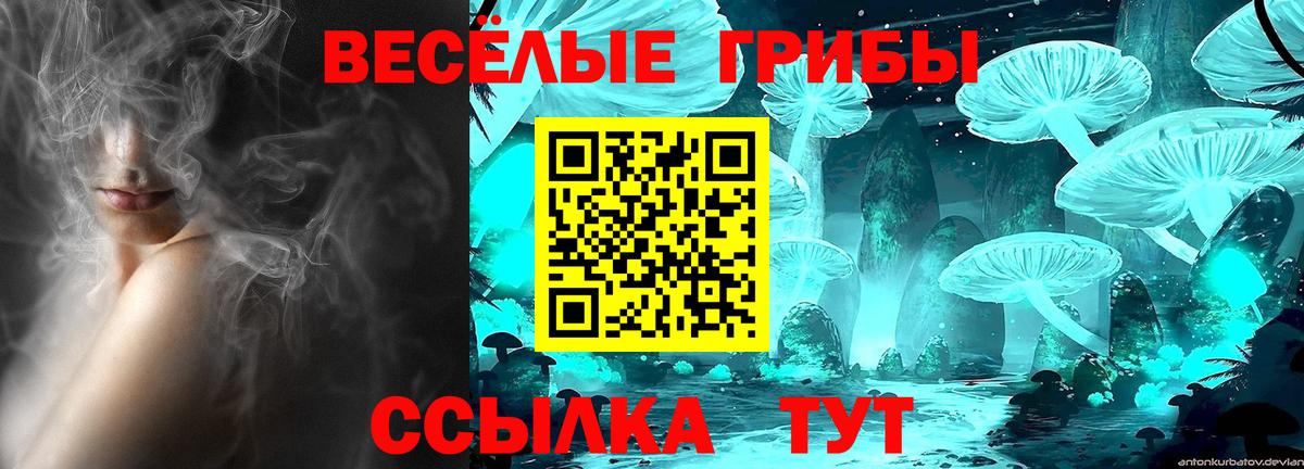 Псилоцибиновые грибы Psilocybine cubensis Вышний Волочёк